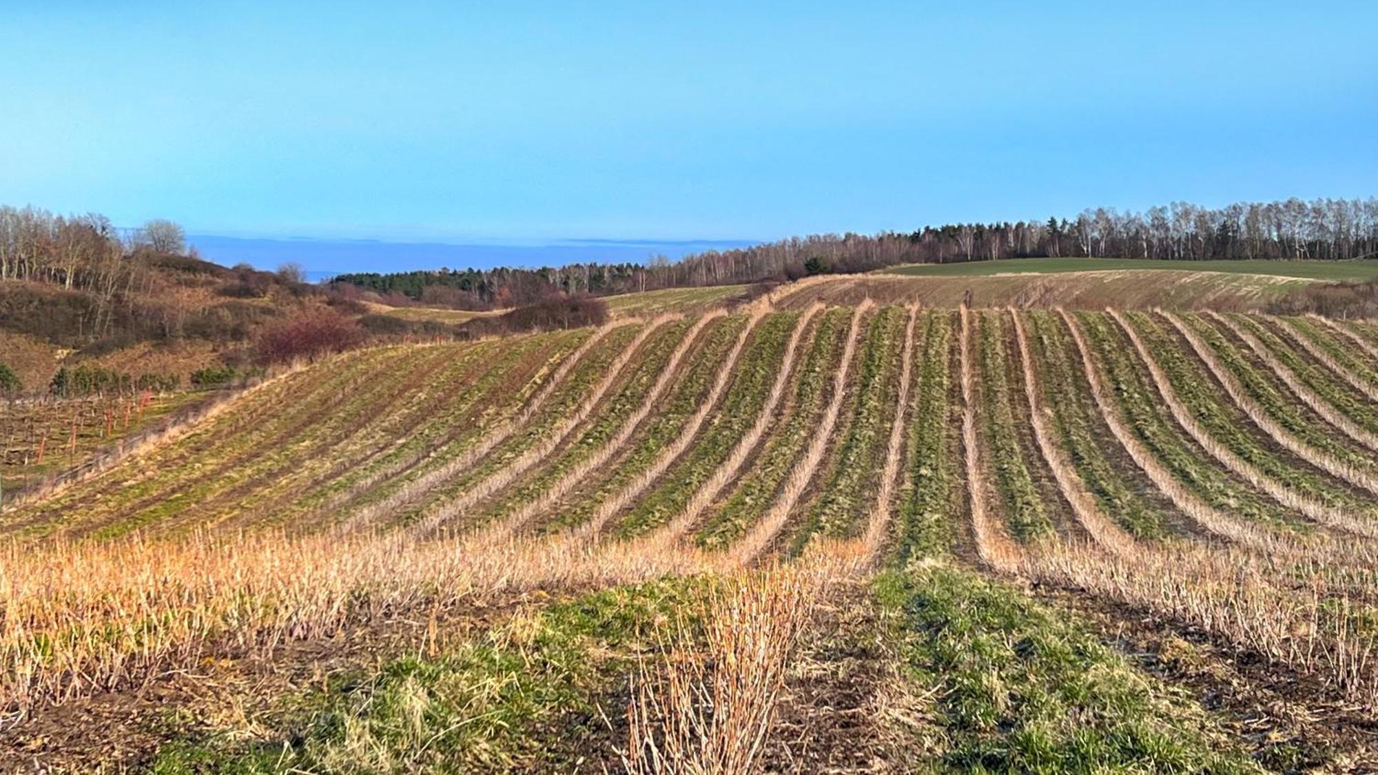 Osada Nad Zalewem Tolkmicko Exterior foto